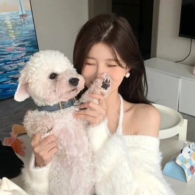 侬好，我的东北女友